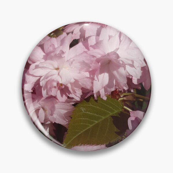 Item preview, Pink cherry blossoms designed and sold by MariaKuhi.