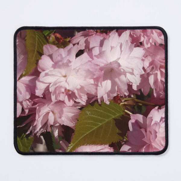 Item preview, Pink cherry blossoms designed and sold by MariaKuhi.