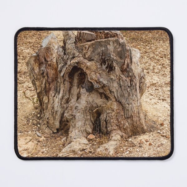 Item preview, Aged Tree Stump in a Dry Arid Landscape Reflecting Nature's Resilience designed and sold by Nmallia.