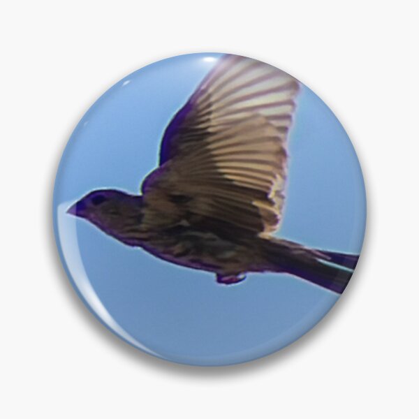 Item preview, House Finch in Flight designed and sold by WilesNailsPower.