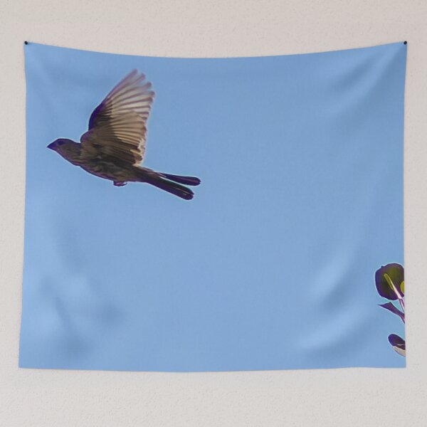 Item preview, House Finch in Flight designed and sold by WilesNailsPower.