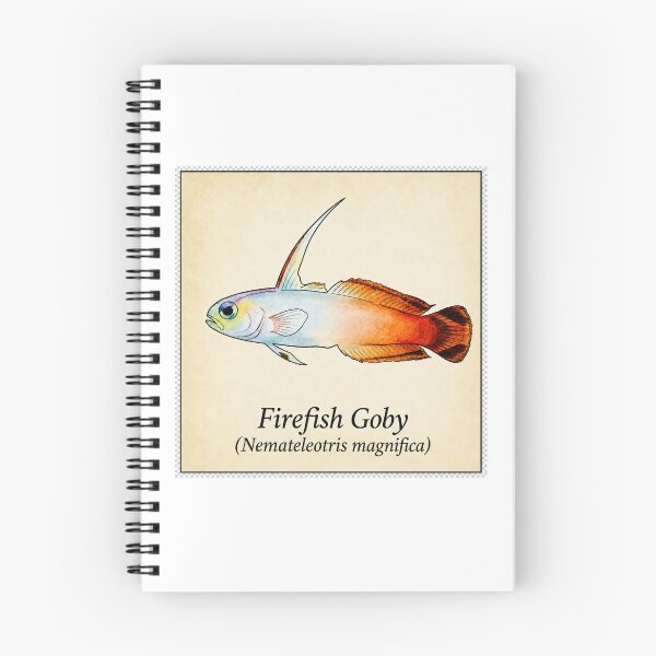 Item preview, Firefish Goby Watercolor Saltwater Aquarium Illustration designed and sold by KenworksDigital.