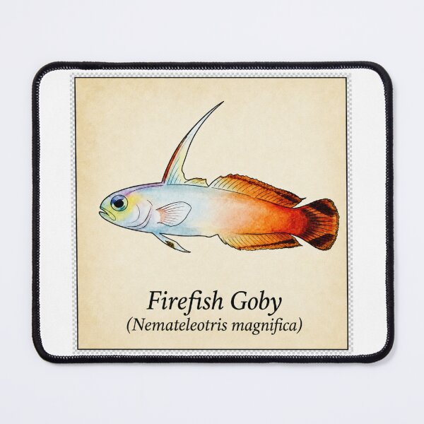 Item preview, Firefish Goby Watercolor Saltwater Aquarium Illustration designed and sold by KenworksDigital.