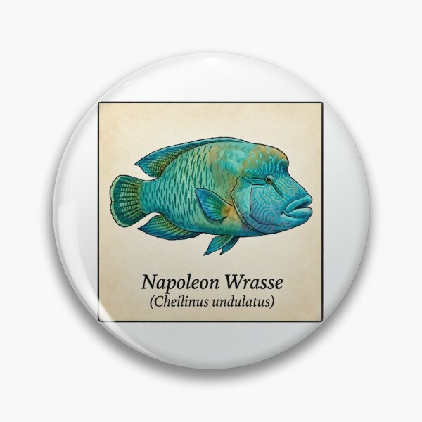 Item preview, Napoleon Wrasse Tropical Reef Fish Watercolor Illustration designed and sold by KenworksDigital.