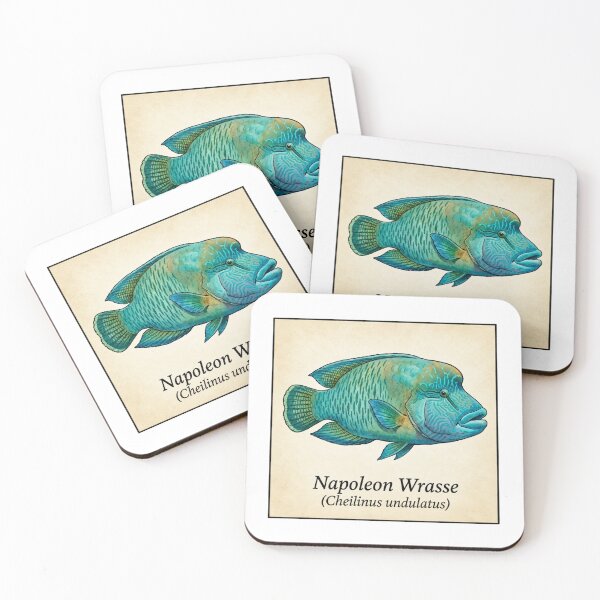 Item preview, Napoleon Wrasse Tropical Reef Fish Watercolor Illustration designed and sold by KenworksDigital.