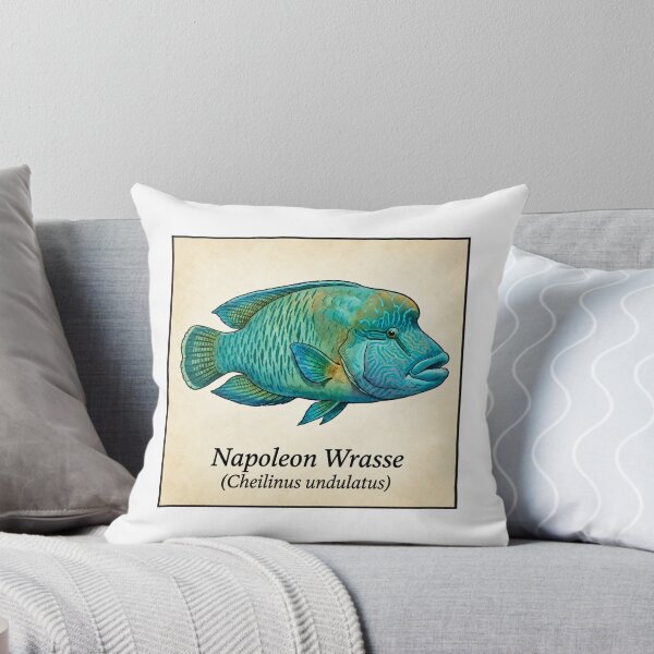 Item preview, Napoleon Wrasse Tropical Reef Fish Watercolor Illustration designed and sold by KenworksDigital.