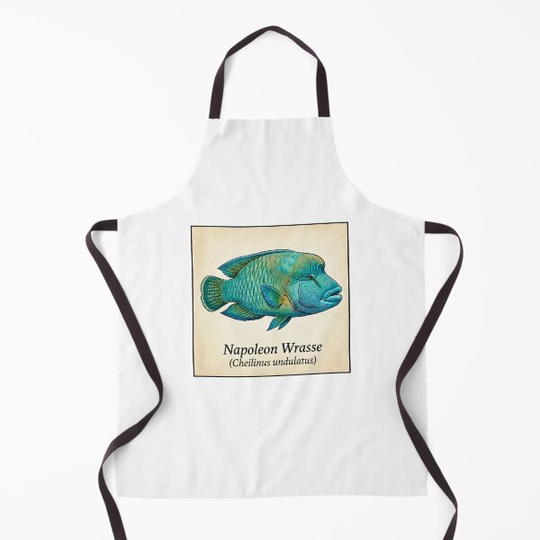 Item preview, Napoleon Wrasse Tropical Reef Fish Watercolor Illustration designed and sold by KenworksDigital.