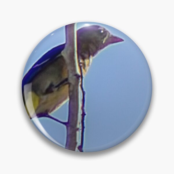 Item preview, Lesser Goldfinch on a Tree Branch designed and sold by WilesNailsPower.