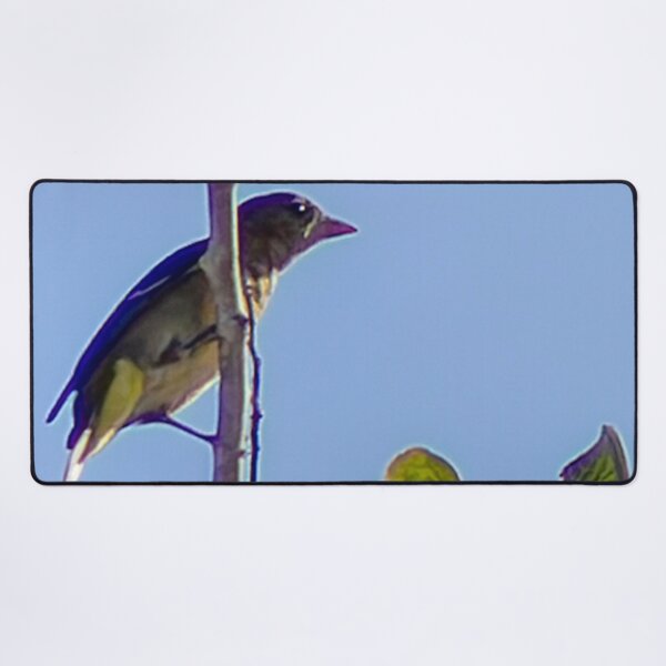 Item preview, Lesser Goldfinch on a Tree Branch designed and sold by WilesNailsPower.