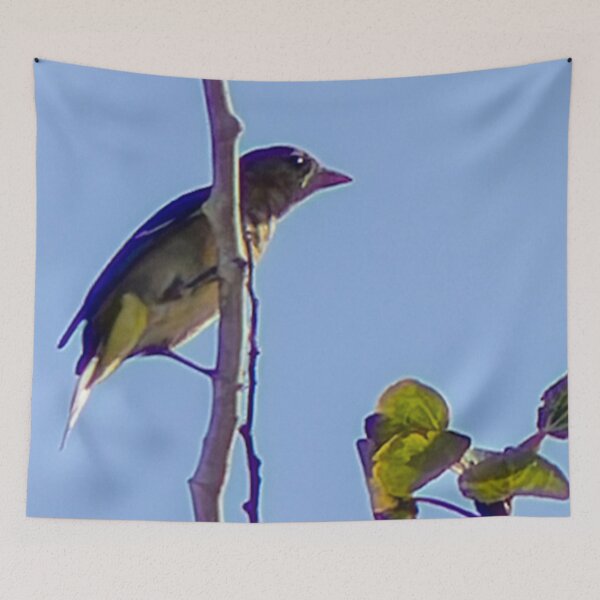 Item preview, Lesser Goldfinch on a Tree Branch designed and sold by WilesNailsPower.