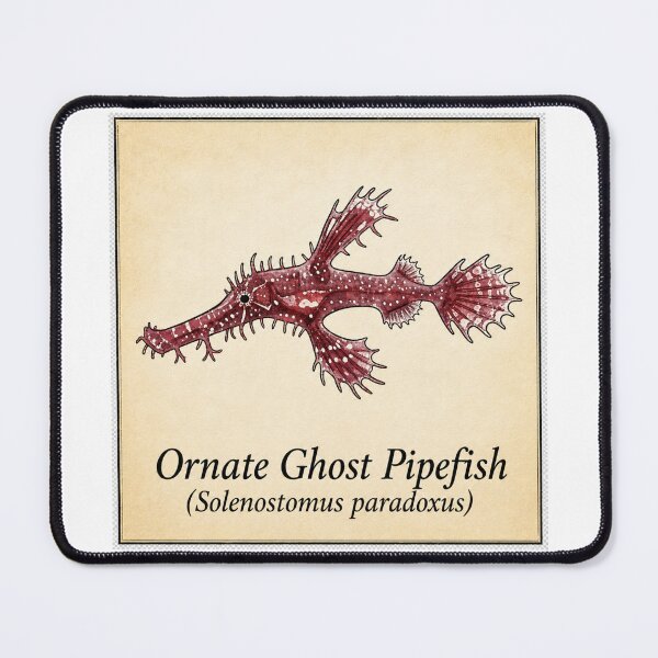 Item preview, Ornate Ghost Pipefish Vintage Marine Illustration designed and sold by KenworksDigital.