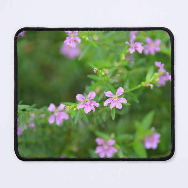 Item preview, Delicate Purple False Heather Blossoms in Garden designed and sold by MiraNadaPrints.