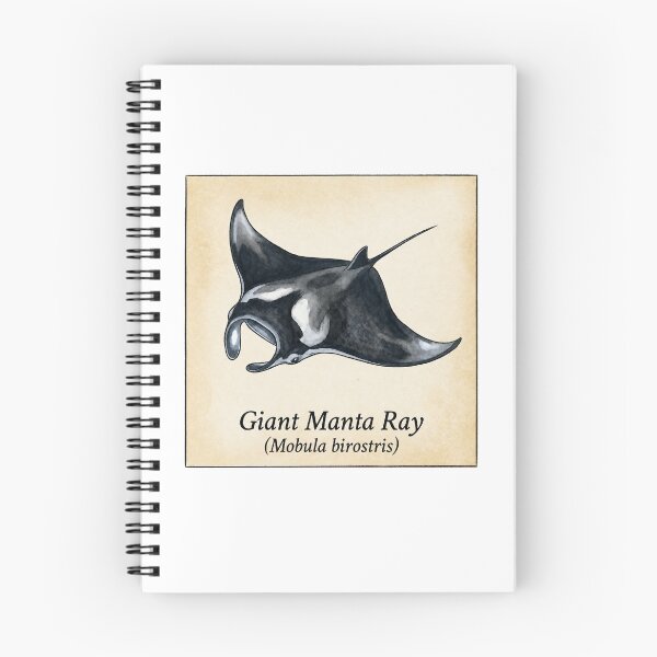 Item preview, Giant Manta Ray Vintage Marine Atlas Illustration designed and sold by KenworksDigital.