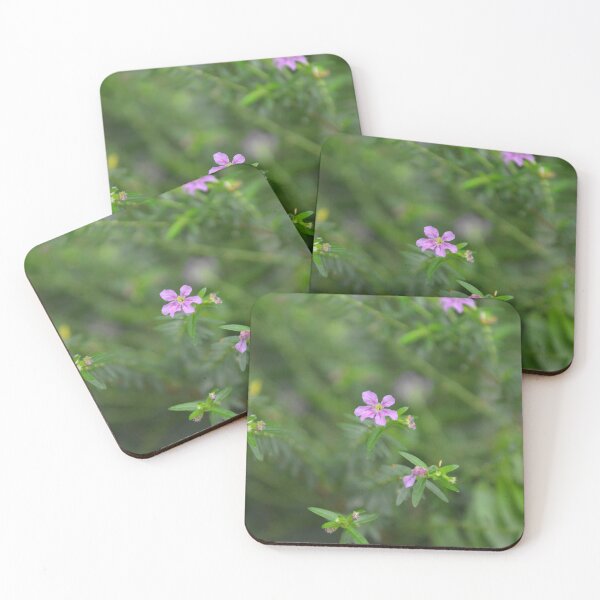 Item preview, Solitary Purple Mexican Heather Flower Macro View designed and sold by MiraNadaPrints.