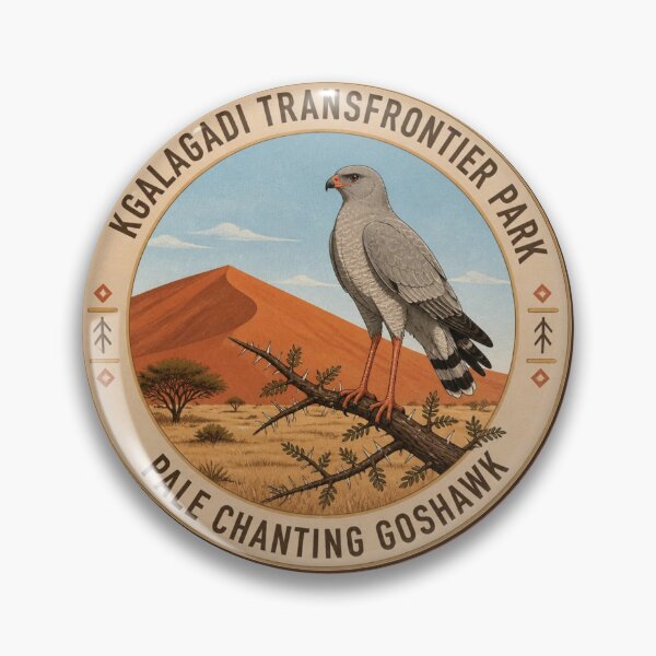 Item preview, Kgalagadi Pale Chanting Goshawk Badge – Red Dune Wildlife Series designed and sold by The Digital Compass.