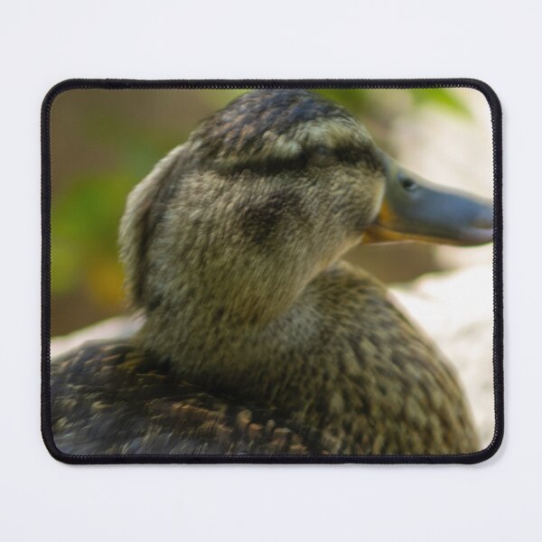 Item preview, Mallard Duck Close Up designed and sold by WilesNailsPower.