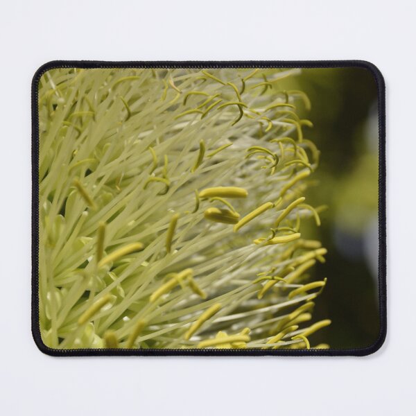 Item preview, Yellow Agave Flower Stamens Macro Detail designed and sold by MiraNadaPrints.