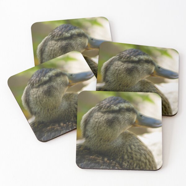 Item preview, Mallard Duck Close Up designed and sold by WilesNailsPower.