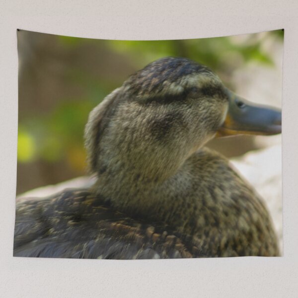 Item preview, Mallard Duck Close Up designed and sold by WilesNailsPower.