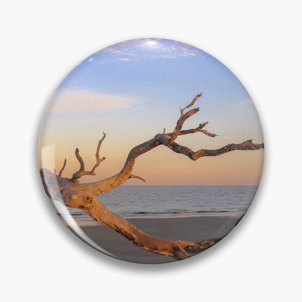 Item preview, Coastal Tree Skeleton on Beach designed and sold by Fotongraphy.