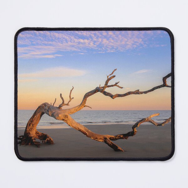 Item preview, Coastal Tree Skeleton on Beach designed and sold by Fotongraphy.