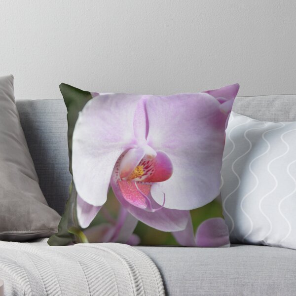 Item preview, Soft Pink Phalaenopsis Orchid Flower Close Up designed and sold by MiraNadaPrints.