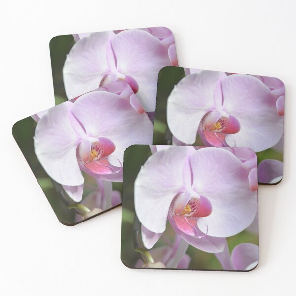Item preview, Soft Pink Phalaenopsis Orchid Flower Close Up designed and sold by MiraNadaPrints.