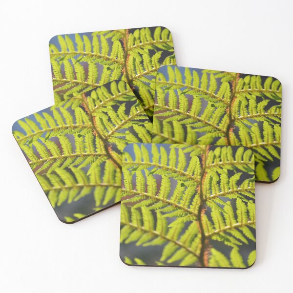 Item preview, Sunlit Hawaiian Tree Fern Frond Macro View designed and sold by MiraNadaPrints.