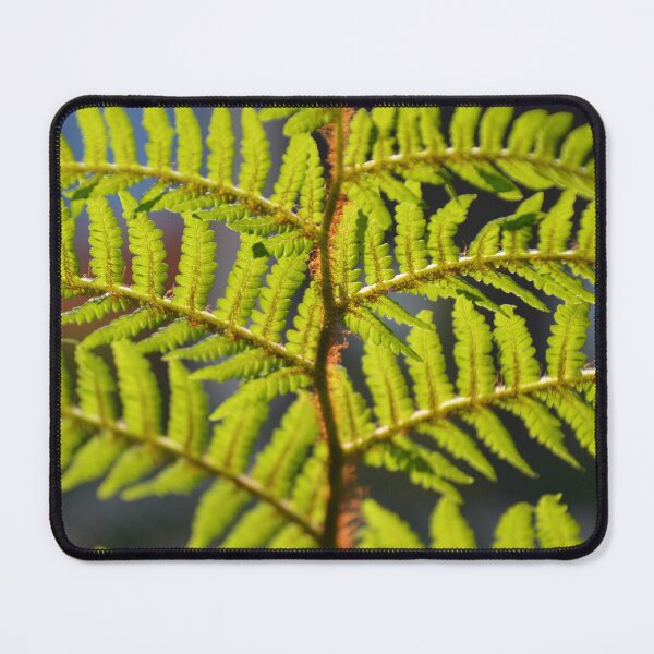 Item preview, Sunlit Hawaiian Tree Fern Frond Macro View designed and sold by MiraNadaPrints.