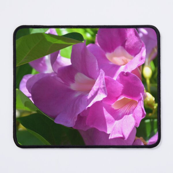 Item preview, Vivid Purple Garlic Vine Flowers in Sunlight designed and sold by MiraNadaPrints.