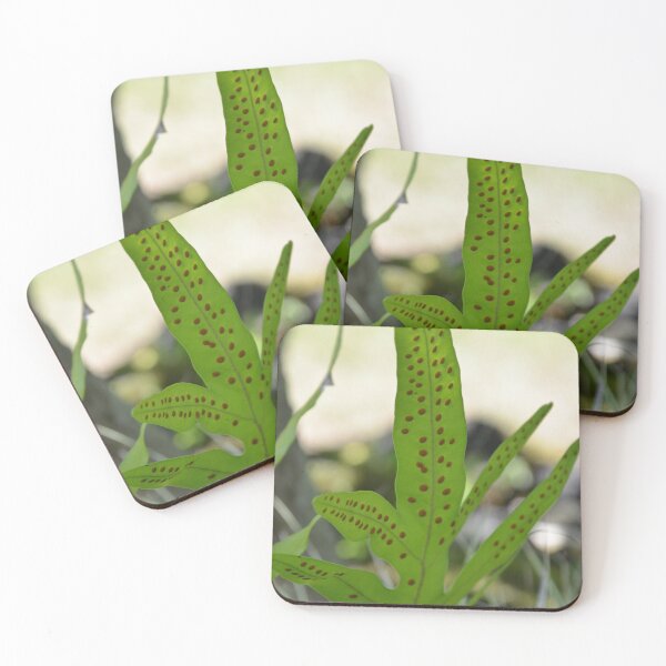 Item preview, Wart Fern Leaf with Raised Brown Spores designed and sold by MiraNadaPrints.