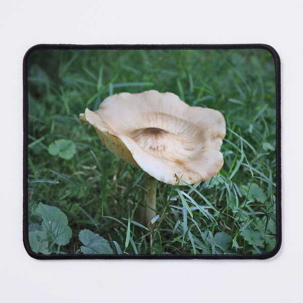 Item preview, Mushroom designed and sold by McFleur's Lens.