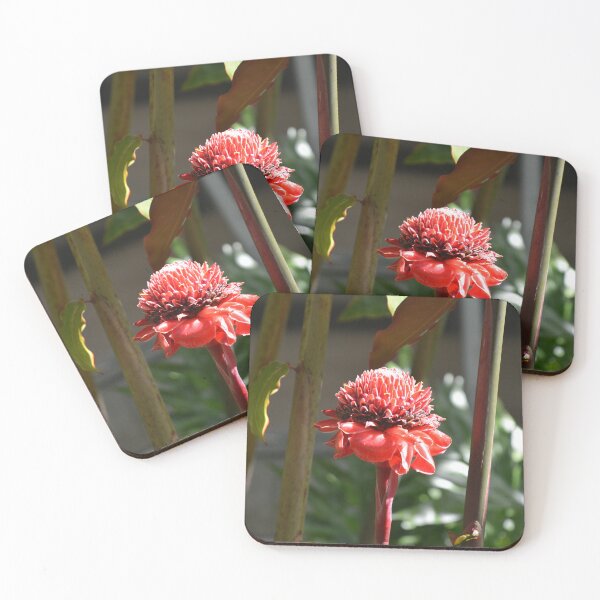 Item preview, Bright Red Torch Ginger Flower Amid Stems designed and sold by MiraNadaPrints.