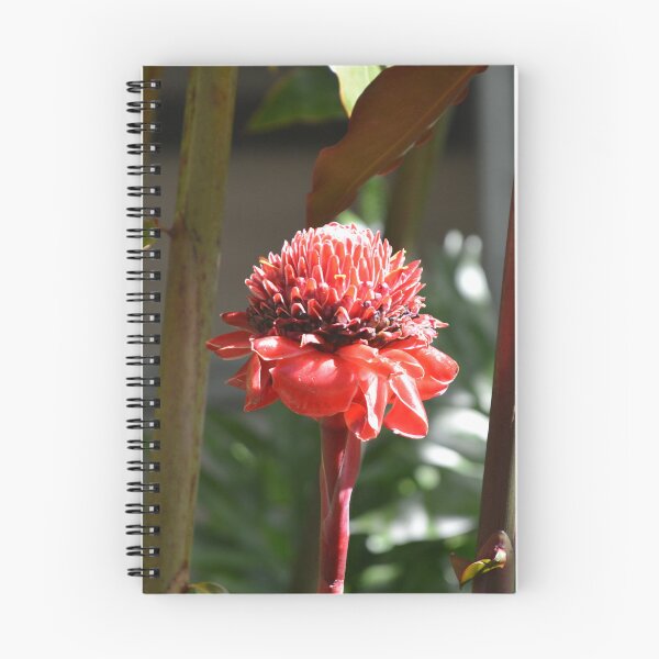 Item preview, Bright Red Torch Ginger Flower Amid Stems designed and sold by MiraNadaPrints.