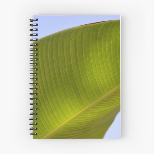 Item preview, Sunlit Green Banana Leaf Against Blue Sky designed and sold by MiraNadaPrints.