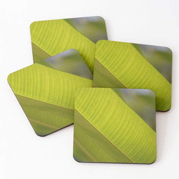Item preview, Translucent Green Tropical Leaf Vein Texture designed and sold by MiraNadaPrints.