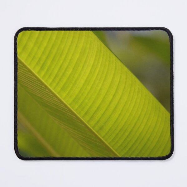 Item preview, Translucent Green Tropical Leaf Vein Texture designed and sold by MiraNadaPrints.