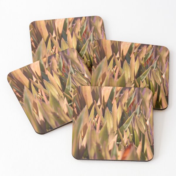 Item preview, Golden Oyster Plant Foliage in Bright Sunlight designed and sold by MiraNadaPrints.