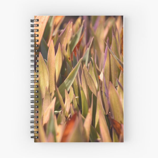 Item preview, Golden Oyster Plant Foliage in Bright Sunlight designed and sold by MiraNadaPrints.