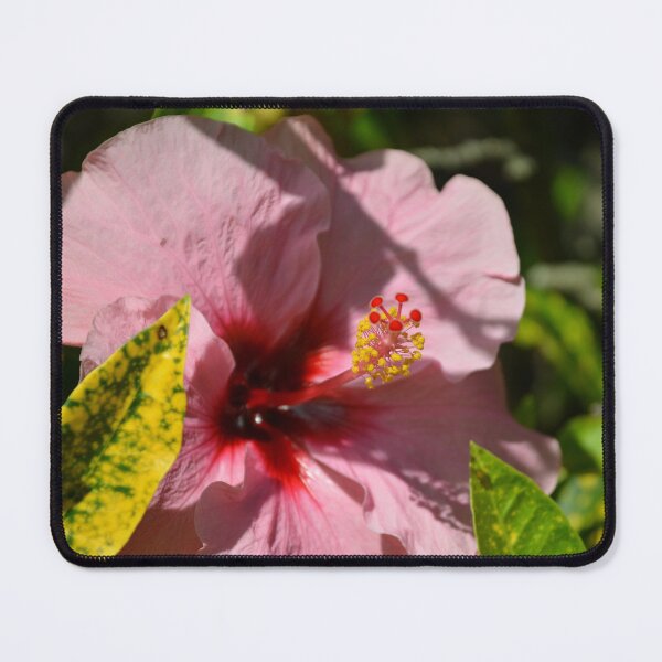 Item preview, Soft Pink Hibiscus Flower with Red Center designed and sold by MiraNadaPrints.