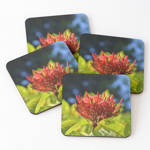 Item preview, Bright Red Ixora Cluster Blooming in Sunlight designed and sold by MiraNadaPrints.
