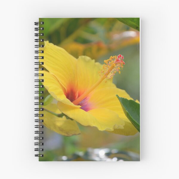 Item preview, Vibrant Yellow Hibiscus Flower in Tropical Sunlight designed and sold by MiraNadaPrints.