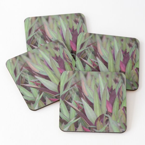 Item preview, Dense Sea of Green and Purple Oyster Leaves designed and sold by MiraNadaPrints.