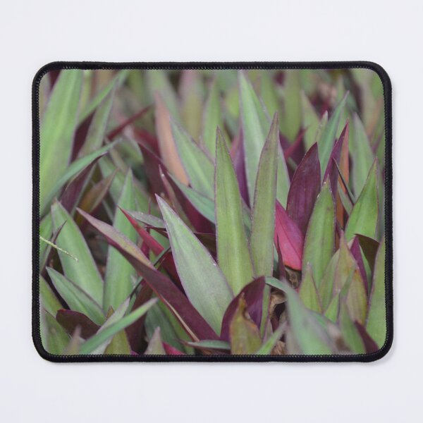 Item preview, Dense Sea of Green and Purple Oyster Leaves designed and sold by MiraNadaPrints.