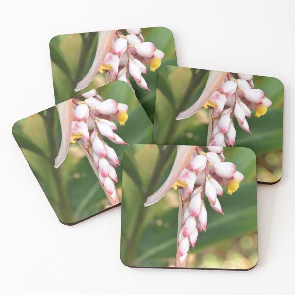 Item preview, Hanging Shell Ginger Flower Cluster in Garden designed and sold by MiraNadaPrints.