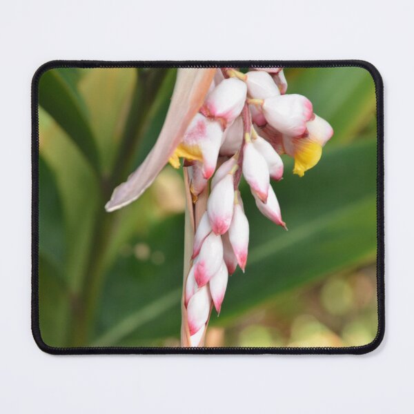 Item preview, Hanging Shell Ginger Flower Cluster in Garden designed and sold by MiraNadaPrints.