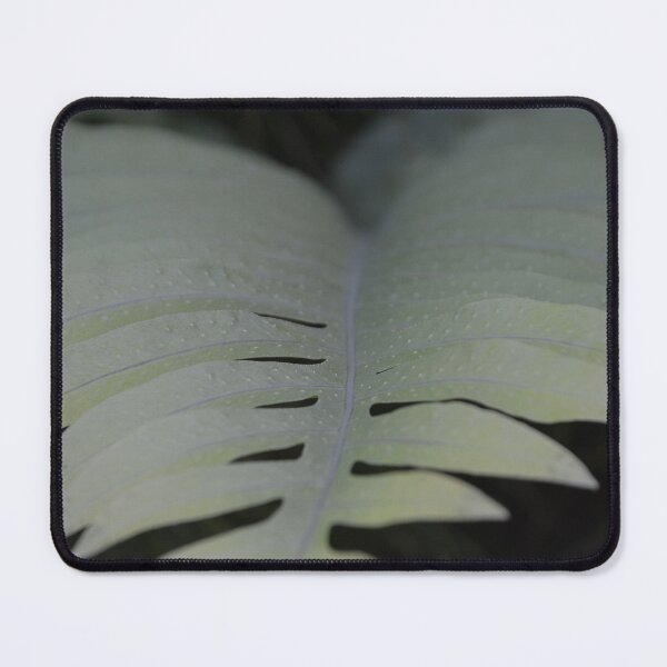 Item preview, Pale Silver Fern Frond Soft Focus View designed and sold by MiraNadaPrints.
