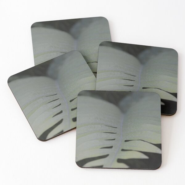 Item preview, Pale Silver Fern Frond Soft Focus View designed and sold by MiraNadaPrints.