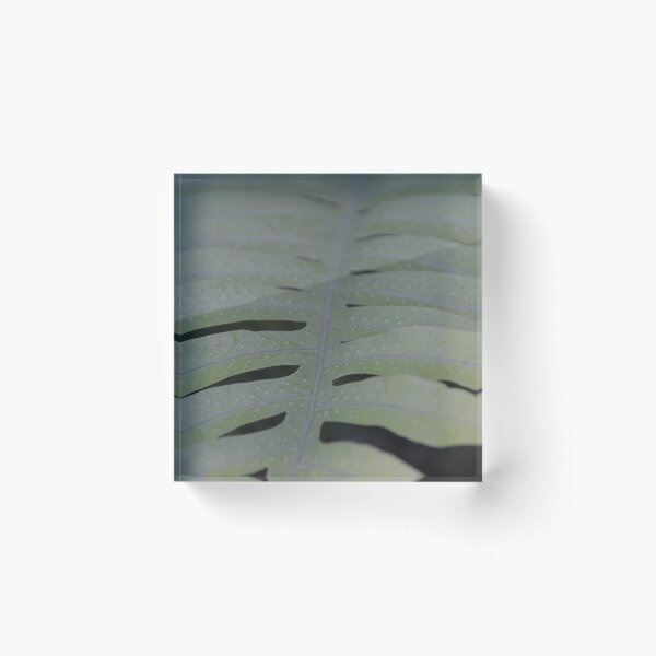 Item preview, Symmetrical Pale Fern Frond Texture Close Up designed and sold by MiraNadaPrints.
