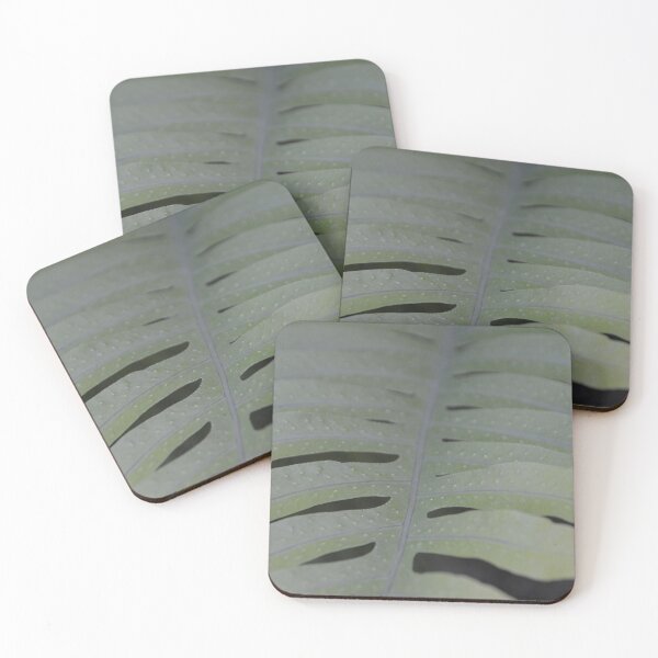 Item preview, Symmetrical Pale Fern Frond Texture Close Up designed and sold by MiraNadaPrints.